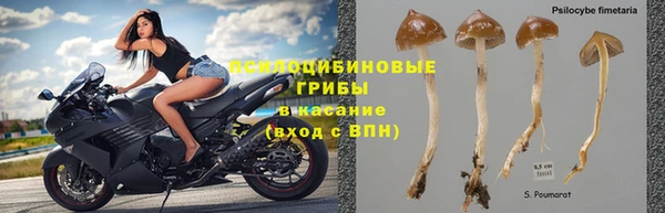 трава Новодвинск