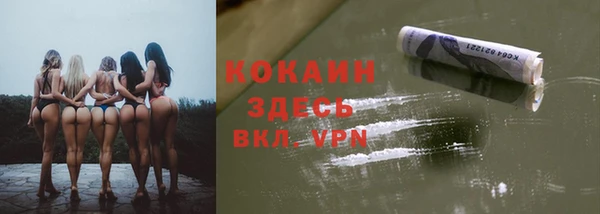 стаф Аркадак