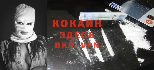 стаф Аркадак