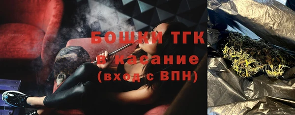 молекула духа Касимов